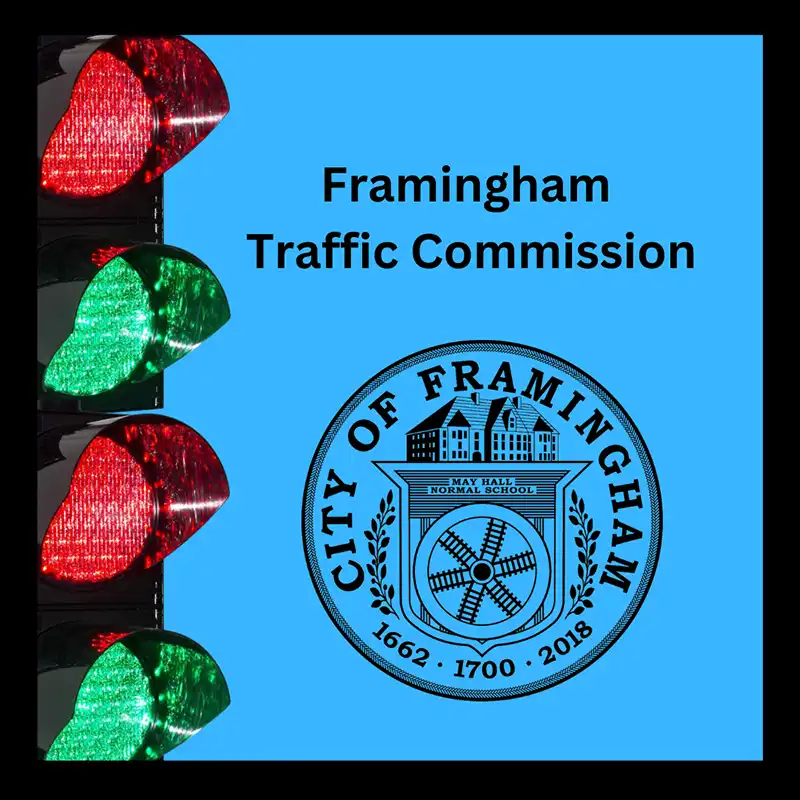 Traffic Commission logo